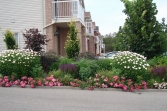 rainbowgardening-landscaping