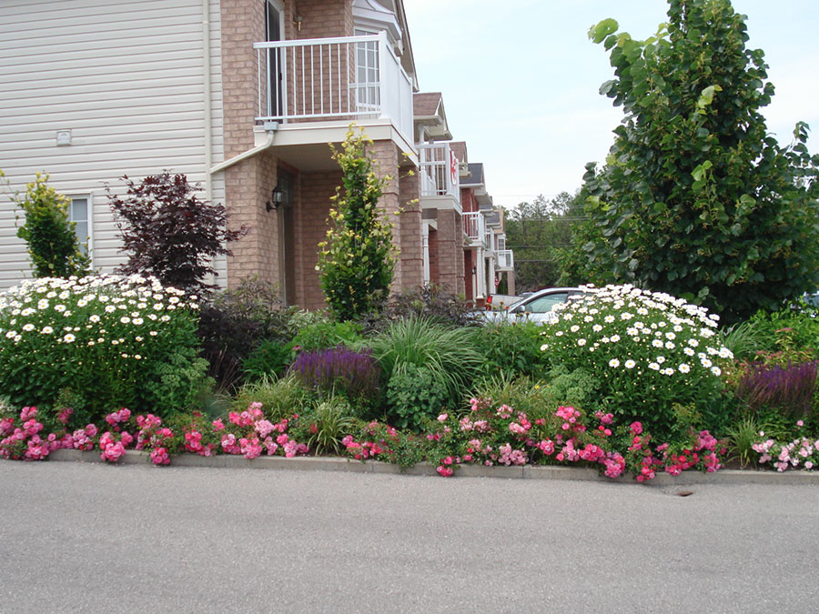 rainbowgardening-landscaping