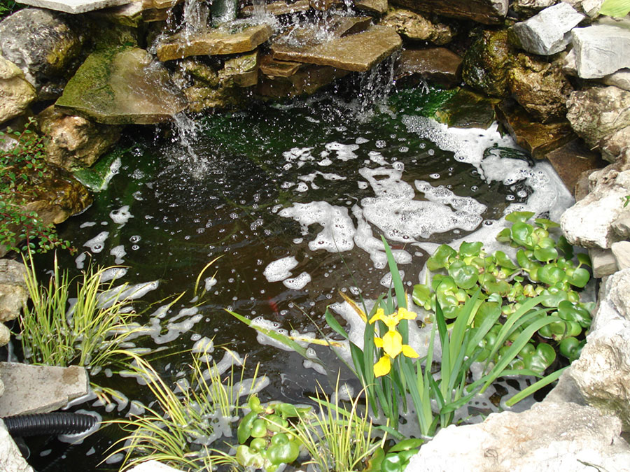 rainbowgardening-ponds-and-water-features