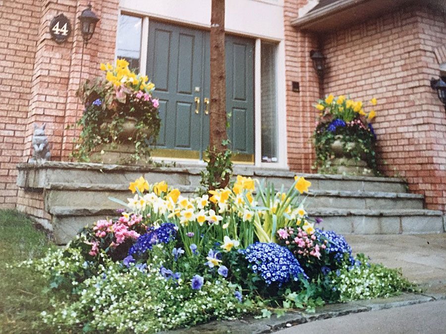 rainbowgardening-spring-display