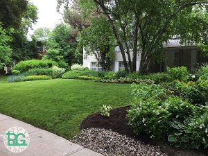 rainbow gardening blog post july 24, 2018 featured image